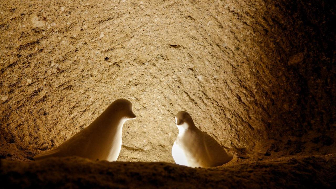 Pigeon Cappadocia Gazde/Camere de închiriat *