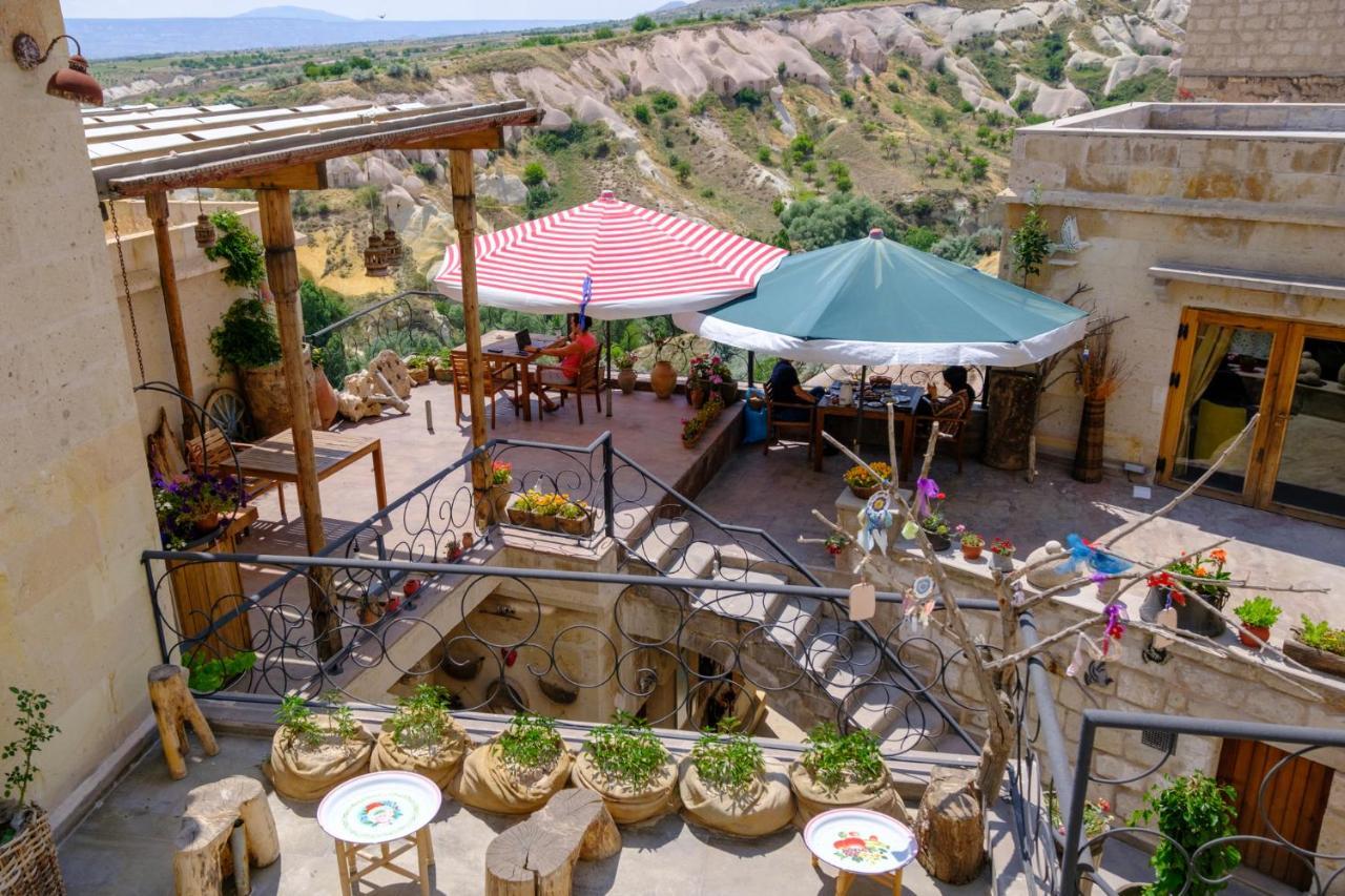 Pigeon Cappadocia