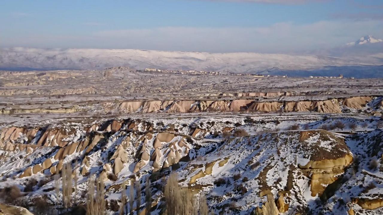 Pigeon Cappadocia * Üçhisar