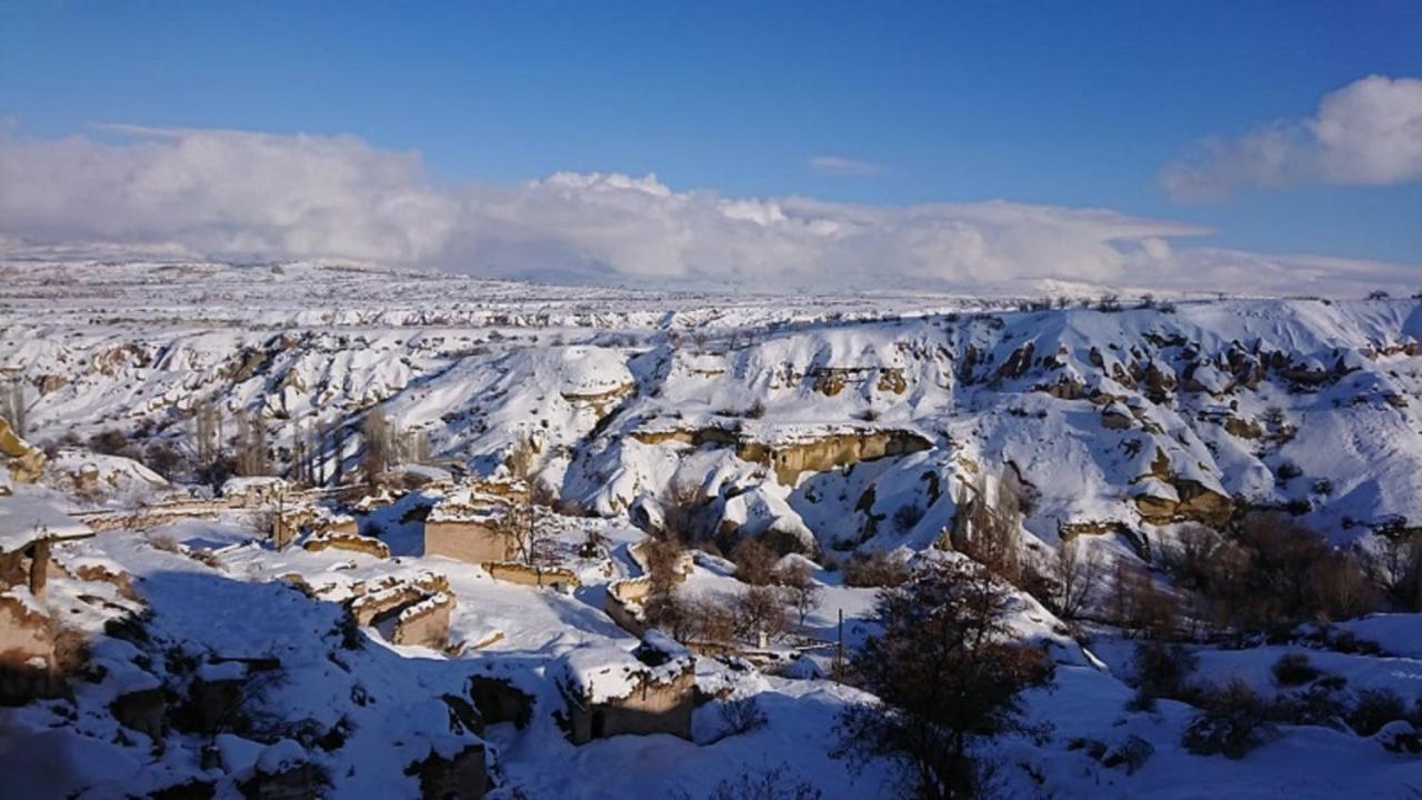 Pigeon Cappadocia