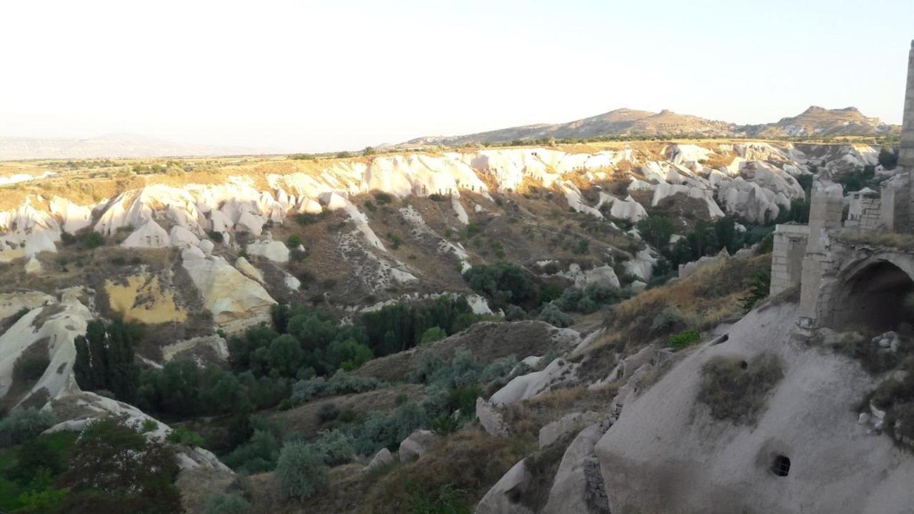 Pigeon Cappadocia