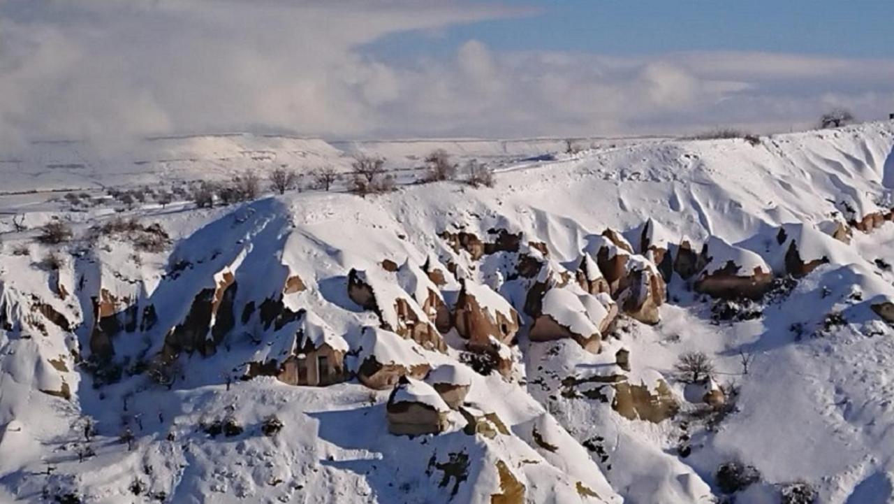 Pigeon Cappadocia Üçhisar