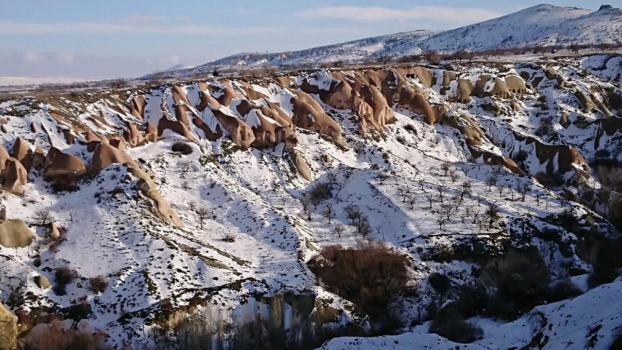 Pigeon Cappadocia Privatunterkunft Uchisar