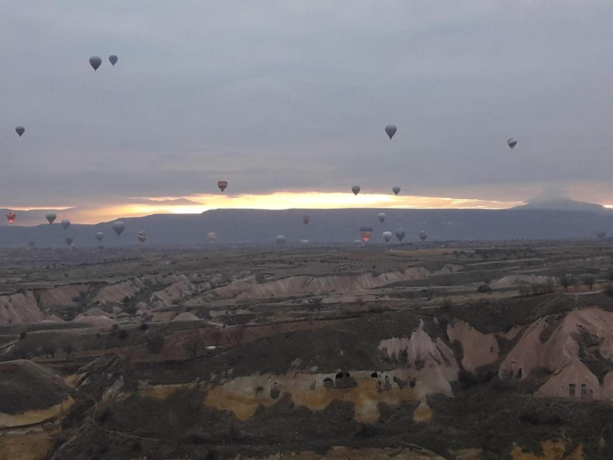 Pigeon Cappadocia Gazde/Camere de închiriat